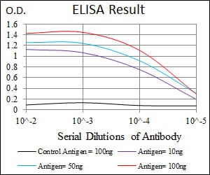 Mouse Monoclonal Antibody to MSN