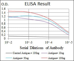 Mouse Monoclonal Antibody to FN1