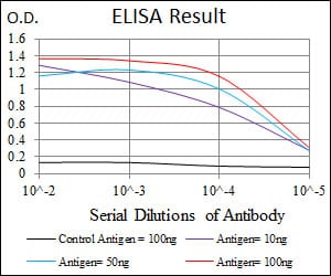 Mouse Monoclonal Antibody to FN1