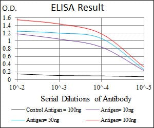 Mouse Monoclonal Antibody to CDK2