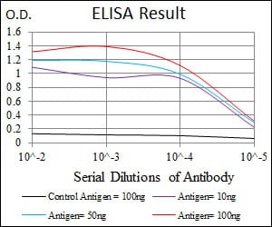 Mouse Monoclonal Antibody to HEXA