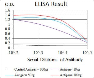 Mouse Monoclonal Antibody to CYP3A4