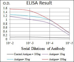 Mouse Monoclonal Antibody to CEBPA