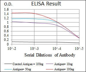 Mouse Monoclonal Antibody to RPA1