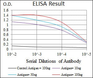 Mouse Monoclonal Antibody to CK5