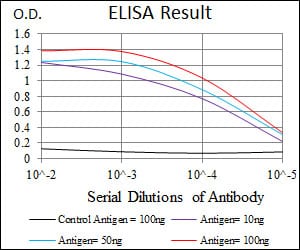 Mouse Monoclonal Antibody to HSF4