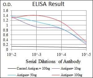 Mouse Monoclonal Antibody to RAP1A
