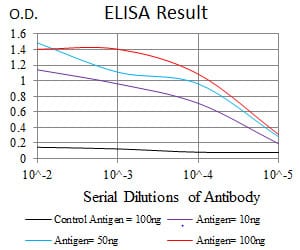 Mouse Monoclonal Antibody to RAP1A