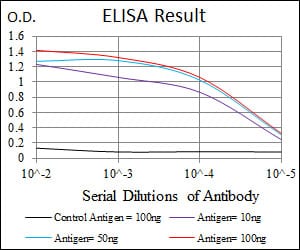 Mouse Monoclonal Antibody to HSP90AA1