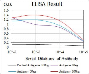 Mouse Monoclonal Antibody to HAS3