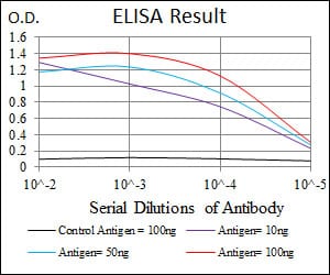 Mouse Monoclonal Antibody to MAP1LC3B