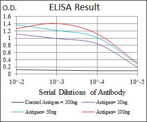 Mouse Monoclonal Antibody to EIF4B