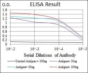 Mouse Monoclonal Antibody to PRKACG