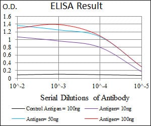 Mouse Monoclonal Antibody to NKX2.2