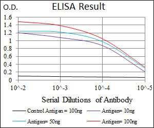 Mouse Monoclonal Antibody to MAPK8