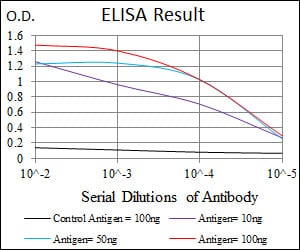 Mouse Monoclonal Antibody to DLL4