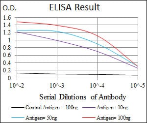Mouse Monoclonal Antibody to MELK