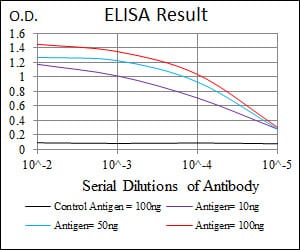 Mouse Monoclonal Antibody to PPM1A