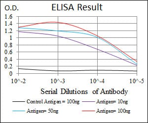 Mouse Monoclonal Antibody to MAP2