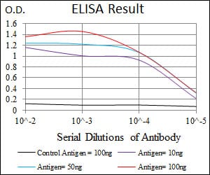 Mouse Monoclonal Antibody to GRIA2