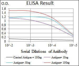 Mouse Monoclonal Antibody to E2F1