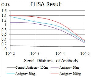 Mouse Monoclonal Antibody to T
