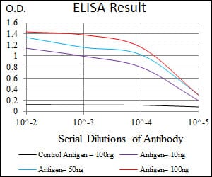 Mouse Monoclonal Antibody to KRT13