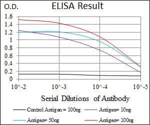 Mouse Monoclonal Antibody to PLK1