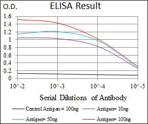 Mouse Monoclonal Antibody to PLK1