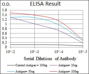 Mouse Monoclonal Antibody to AlCAM