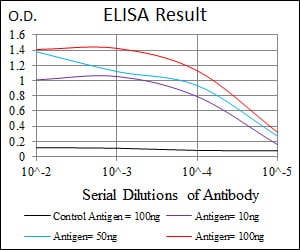 Mouse Monoclonal Antibody to CSNK2A2