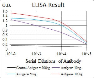 Mouse Monoclonal Antibody to ANXA1