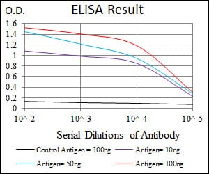Mouse Monoclonal Antibody to TWF1