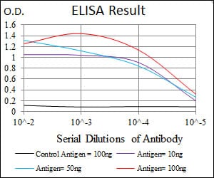 Mouse Monoclonal Antibody to RUNX3