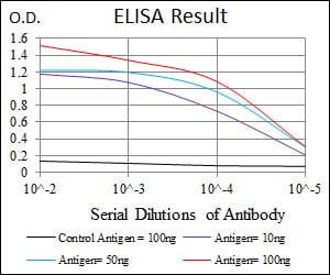Mouse Monoclonal Antibody to PTPN11