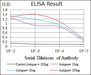 Mouse Monoclonal Antibody to CD6