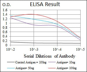 Mouse Monoclonal Antibody to NEFM