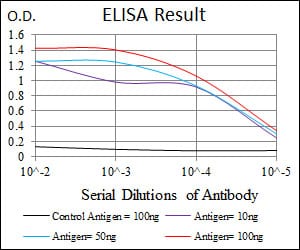 Mouse Monoclonal Antibody to FOXP1