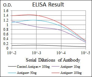 Mouse Monoclonal Antibody to RAG1
