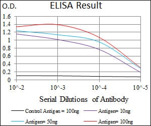 Mouse Monoclonal Antibody to HAS2