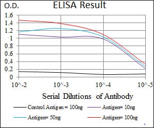 Mouse Monoclonal Antibody to STAT5A