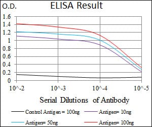 Mouse Monoclonal Antibody to T