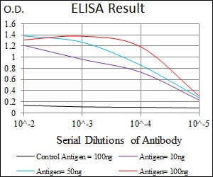 Mouse Monoclonal Antibody to KEAP1