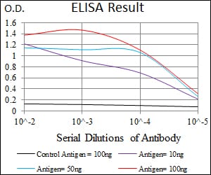 Mouse Monoclonal Antibody to CAMK4