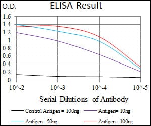 Mouse Monoclonal Antibody to MMP2