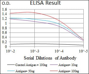 Mouse Monoclonal Antibody to CDH5