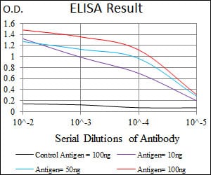 Mouse Monoclonal Antibody to PCNA