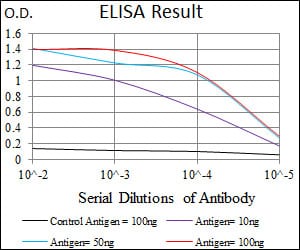Mouse Monoclonal Antibody to SLC27A5