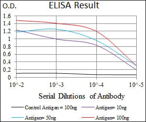 Mouse Monoclonal Antibody to MAP1LC3A