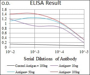 Mouse Monoclonal Antibody to MAP1LC3A